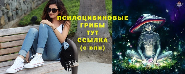 2c-b Майский